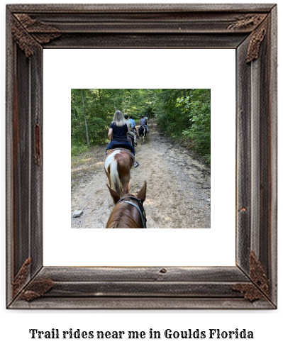 trail rides near me in Goulds, Florida